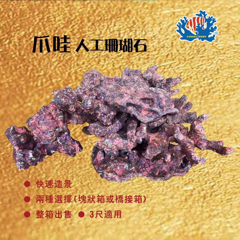 爪哇 / 斐濟 人工珊瑚石