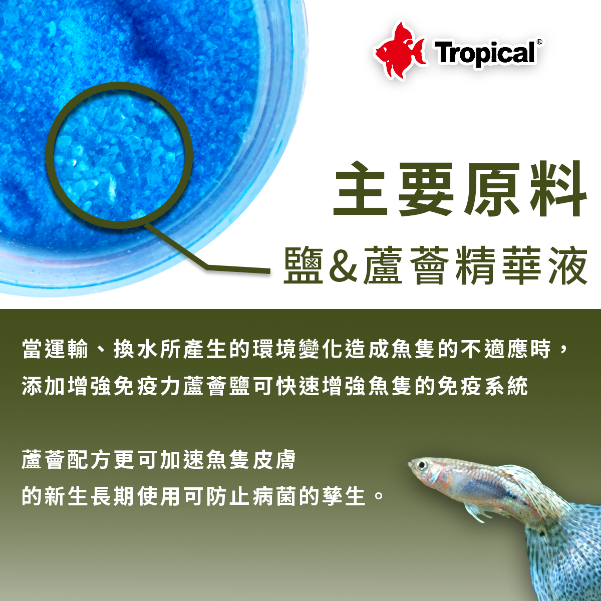 Tropical 增強免疫力蘆薈鹽 500ml/100ml