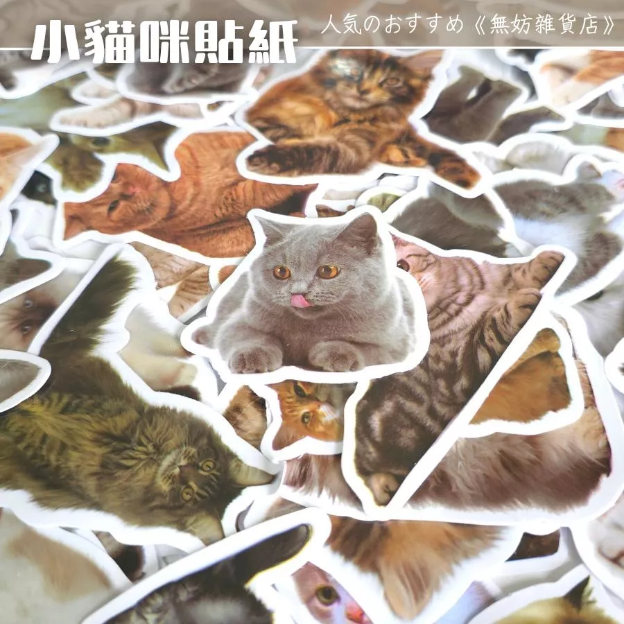 ღ無妨雜貨店ღ 小貓咪貼紙 水杯裝飾貼紙 動物貼紙