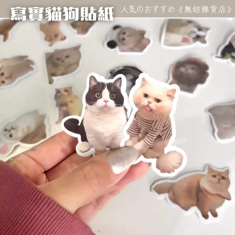 ღ無妨雜貨店ღ 寫實貓咪狗狗貼紙 超可愛裝飾貼紙 動物貼紙