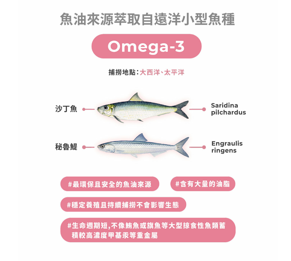 DHA70高純度魚油 / 西班牙Solutex / DHA 70% / 懷孕及哺乳媽咪必備營養 / 90顆