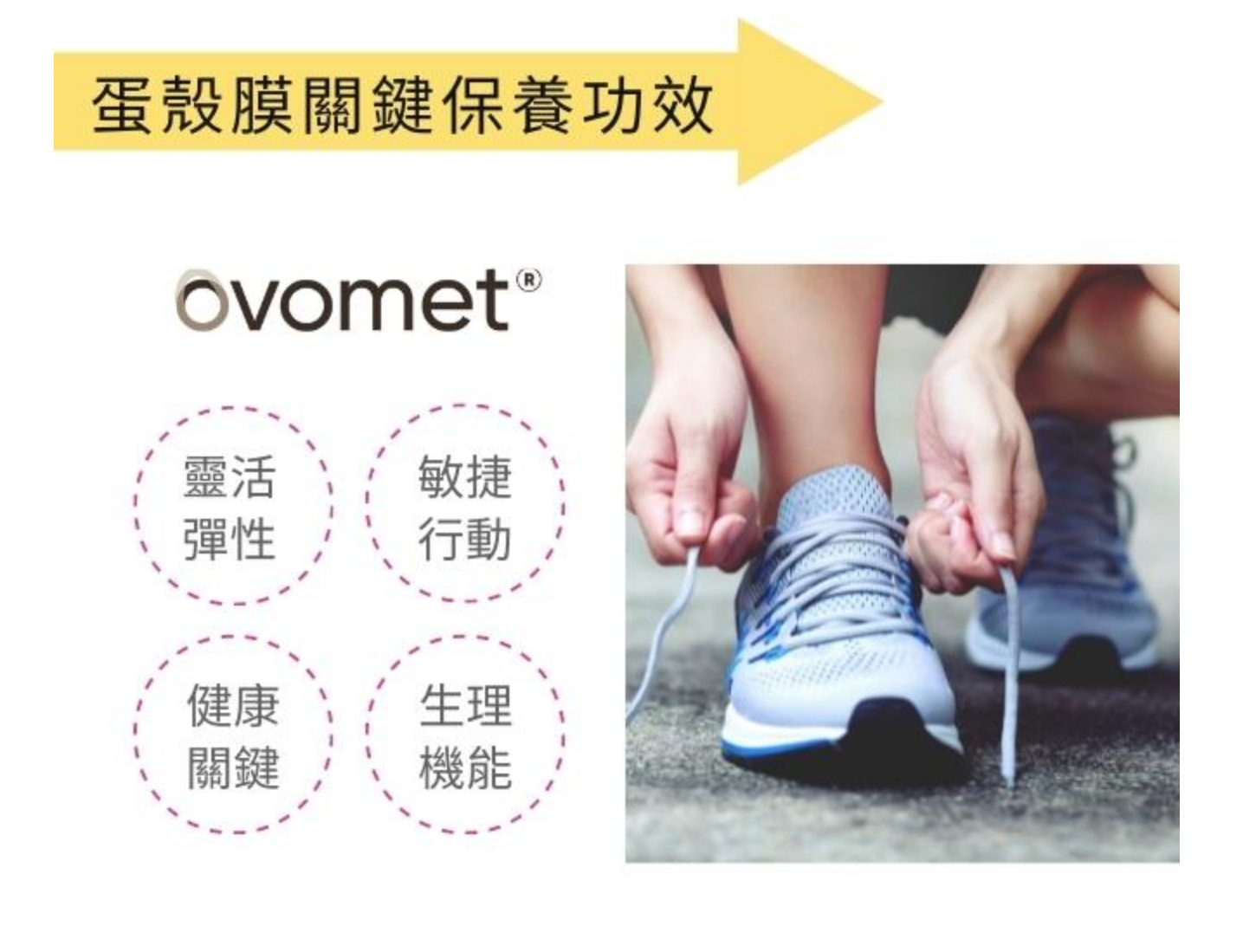 AstaPeutic 蛋殼膜關鍵保養 ovomet ® / 高純度西班牙專利蛋殼膜 / 10顆