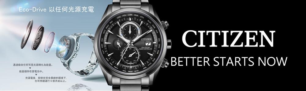 CITIZEN 星辰 Eco-Drive 相伴一生光動能對錶-AT8265-81E+EM1073-85Y