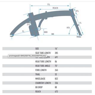 線上單車 HASA SEF16 SEF 16 電動車 電動助力車 電助車 電輔車 折疊車 摺疊車 電動折疊車 電動自行車