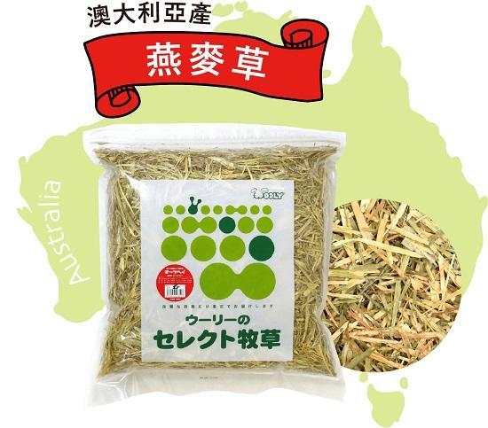 WOOLY澳洲燕麥草 850g