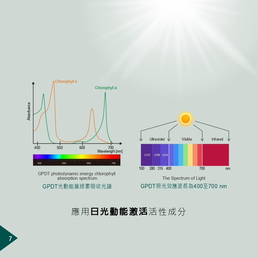 【大暘生技】GPDT光動能活力素 ( 60粒膠囊/盒)