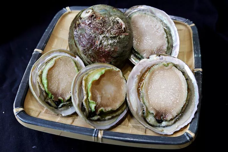 稀有等級 澳洲生食級綠唇鮑 （頂級食材） 4入裝