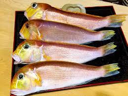 高單品 高檔魚類 金面馬頭魚 三去真空包裝 單尾 (有大小尾時價)