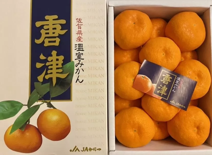 【日本唐津蜜柑禮盒】