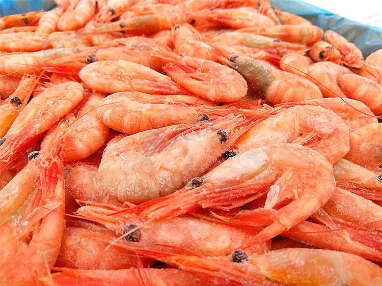 冷凍北極熟甜蝦