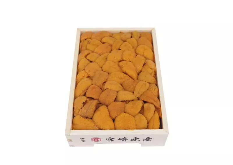 バラ A級馬糞海膽 250g