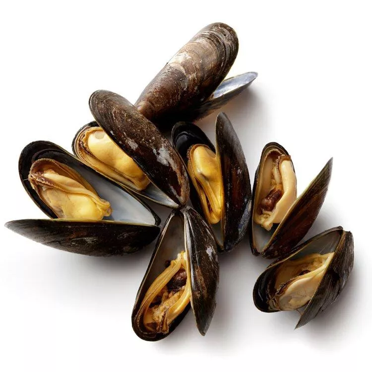 【馬祖淡菜】600g