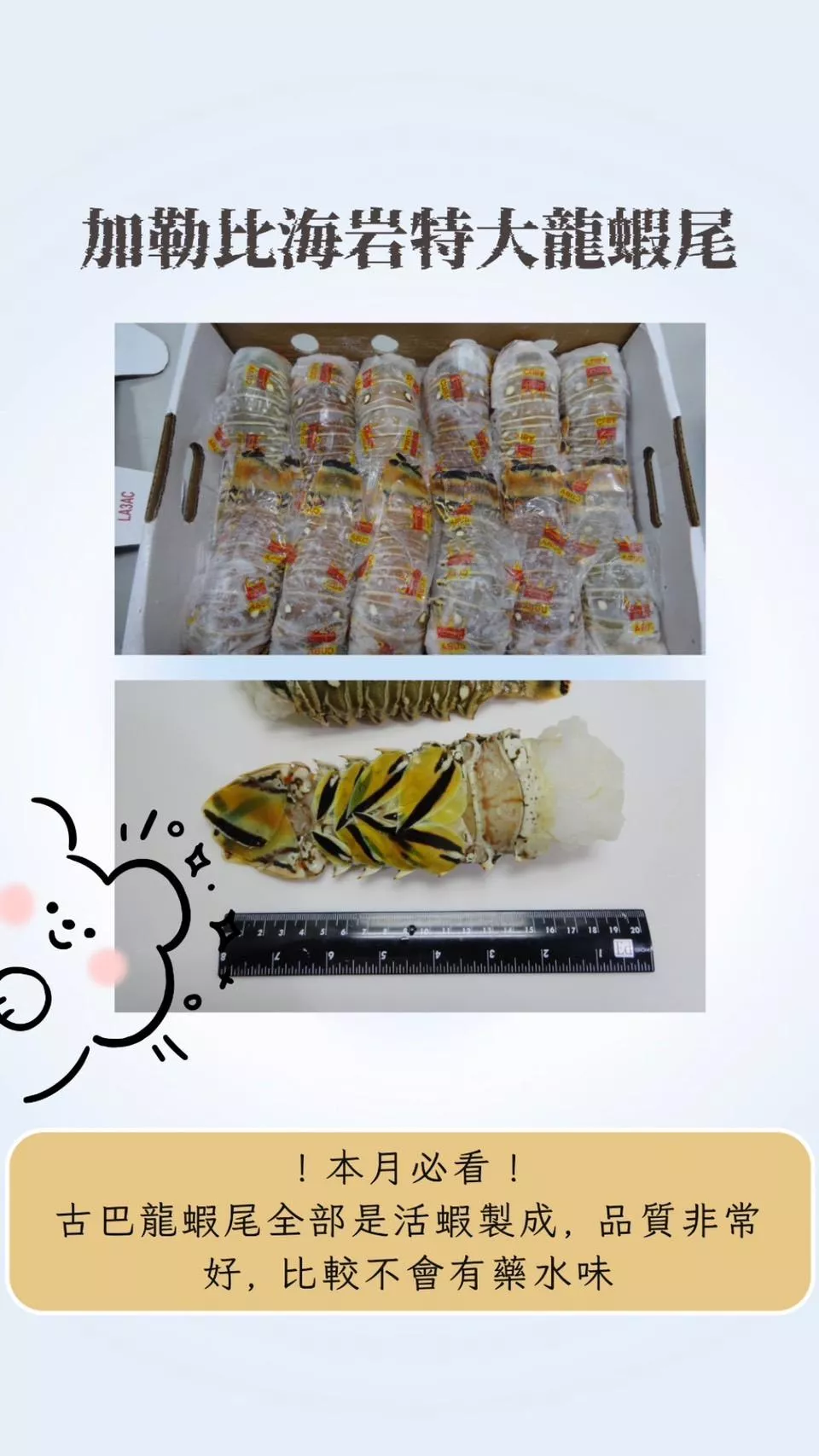 古巴生凍特大龍蝦尾  3尾一組