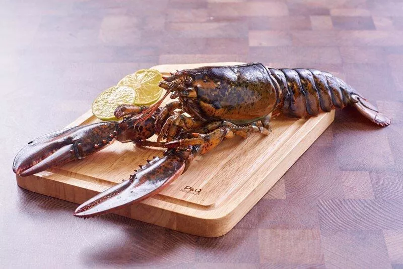 凍波士頓龍蝦 400-500g