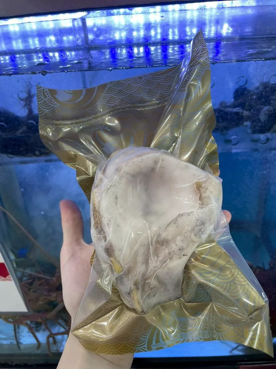 南美去殼O極大鮑魚   單顆真空包裝