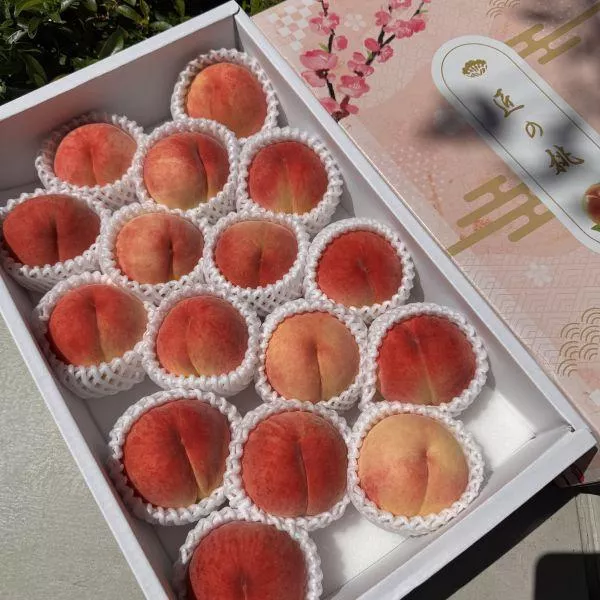 日本🇯🇵頂級❤️山形特秀白桃🍑夢幻水蜜桃~~軟硬都香甜~~14玉