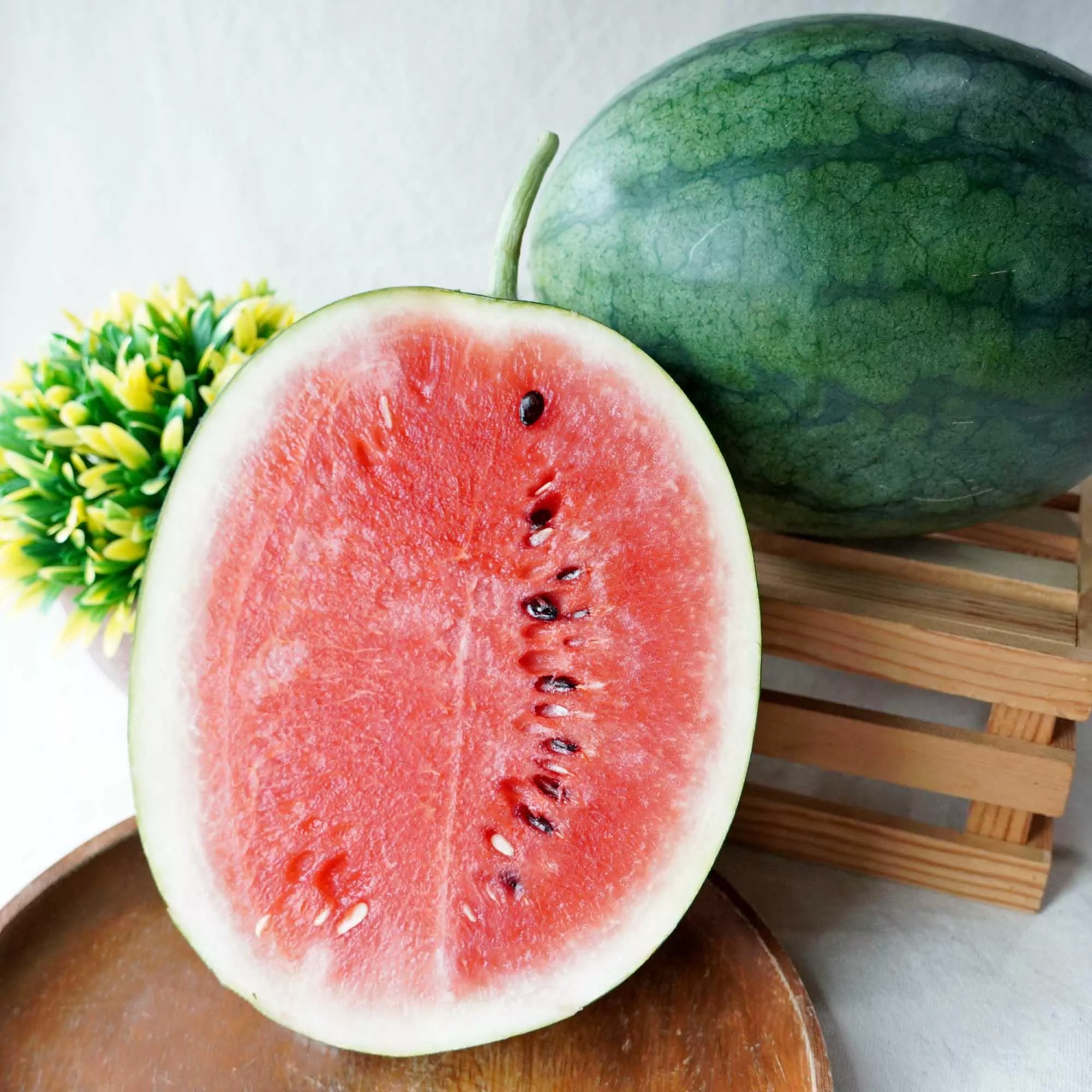 日本品種頂級~~溫室黑木西瓜 單顆