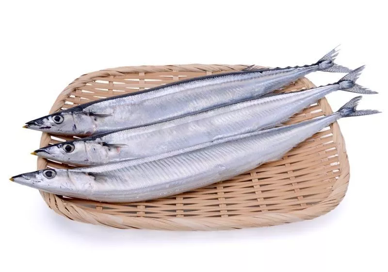 特大秋刀魚3尾一包