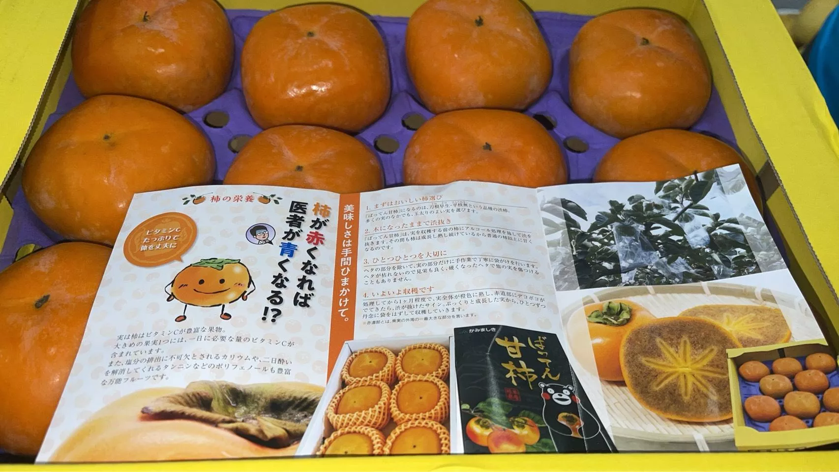 🇯🇵日本「熊本縣黑芝麻柿」12顆/盒 新品