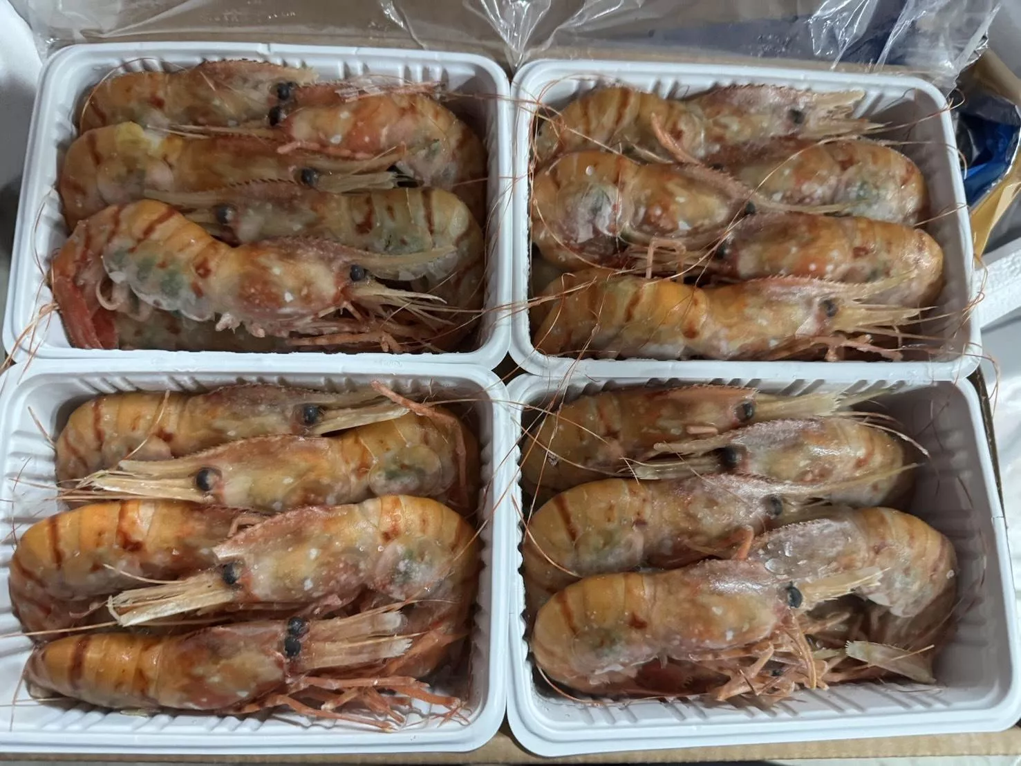 正日本牡丹蝦36/40 2k/盒  需預訂