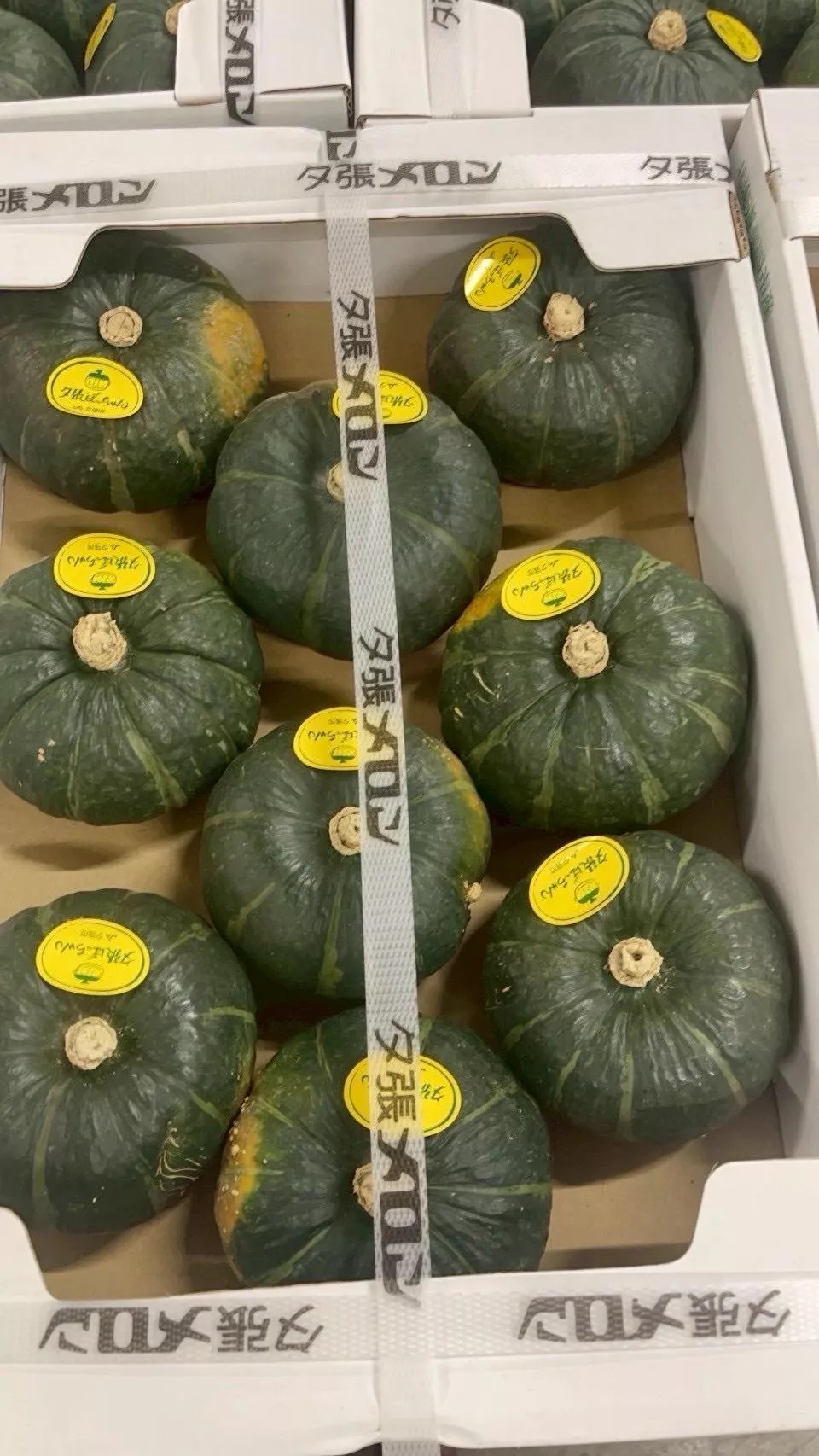 【日本北海道夕張栗子南瓜🎃】 2顆/組 需預訂