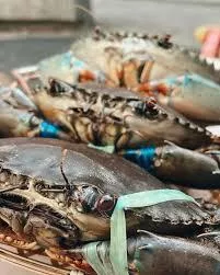 活體 活體爆蛋精品紅蟳 爆蛋超讚 以為在吃 蛋 餅 請看說明