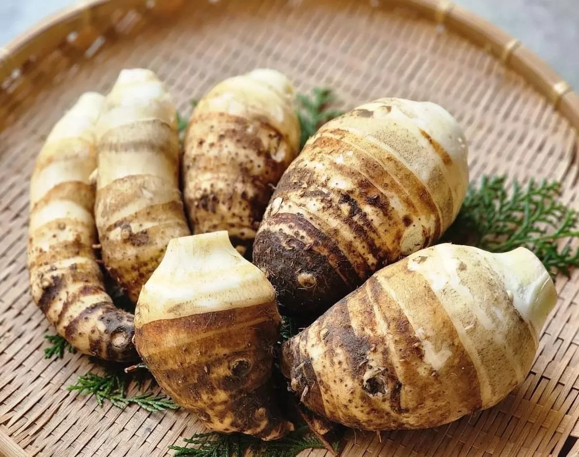 【日本生鮮海老芋】稱重1700/kg