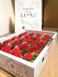 日本德島水蜜桃草莓