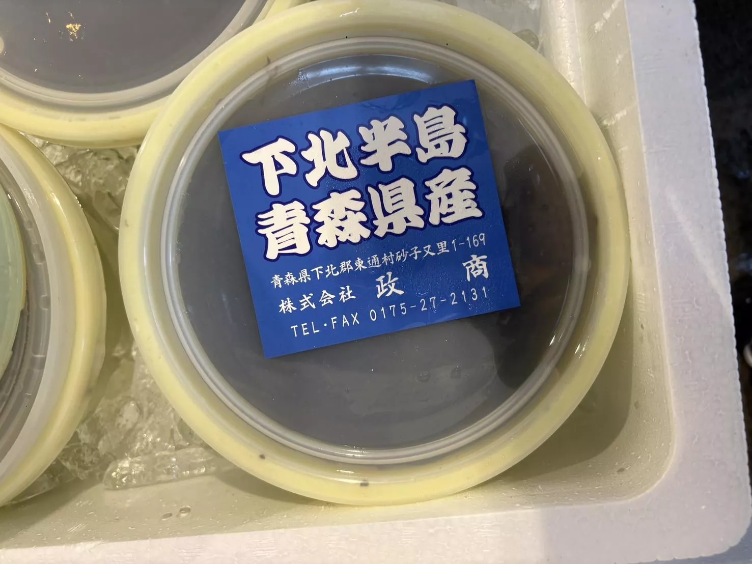 青森 生海參 1k/pc 3-4個入 需提前預訂