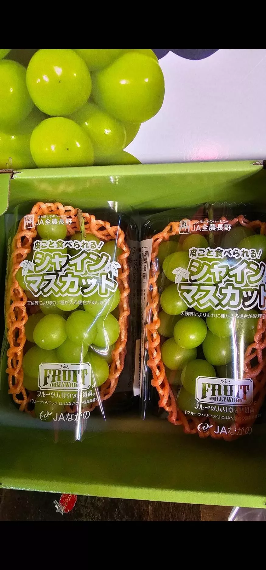 日本麝香葡萄 單串