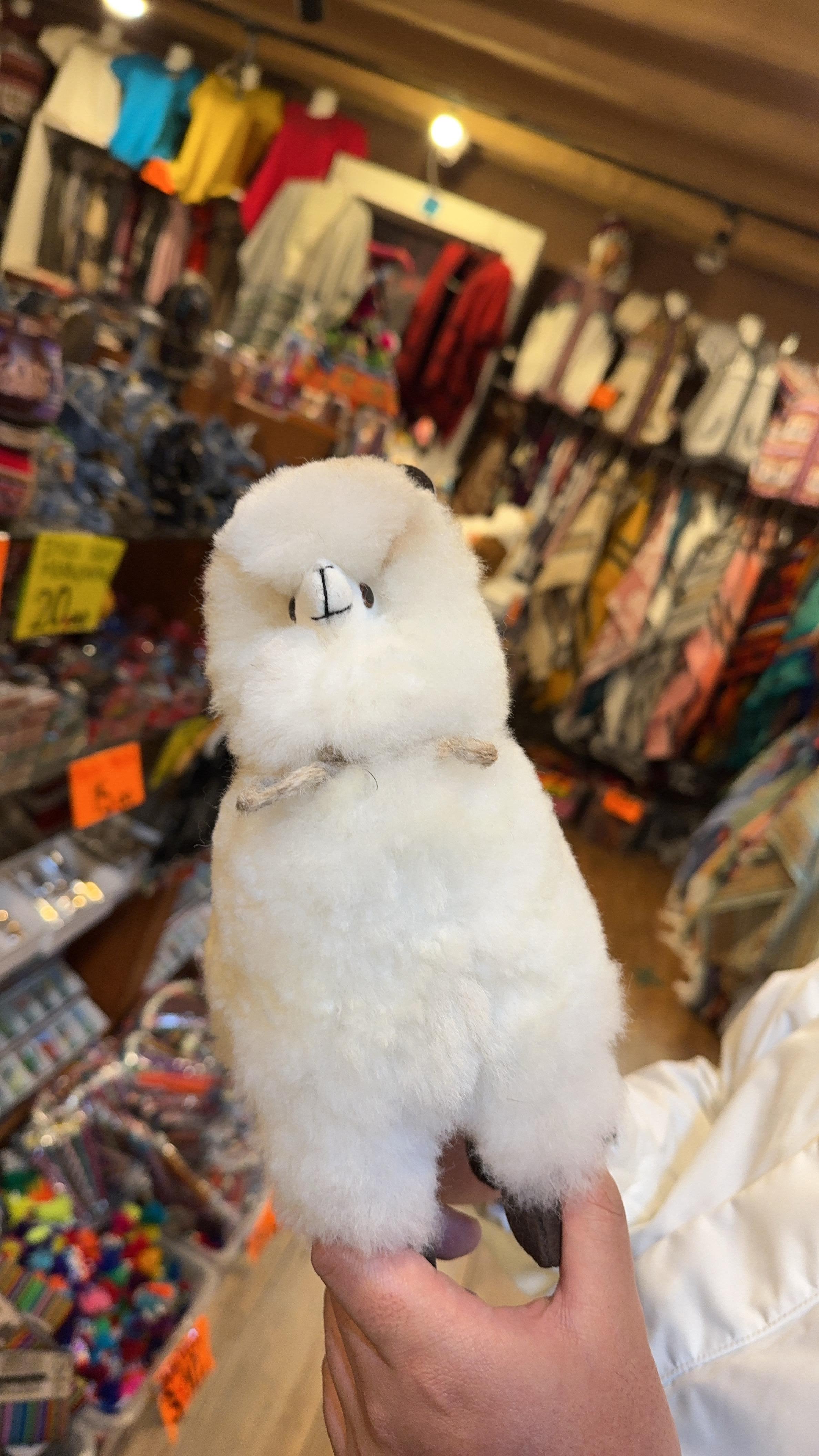 DecoDazzle🪬秘魯手工製羊駝毛娃娃Alpaca Peluche (小)