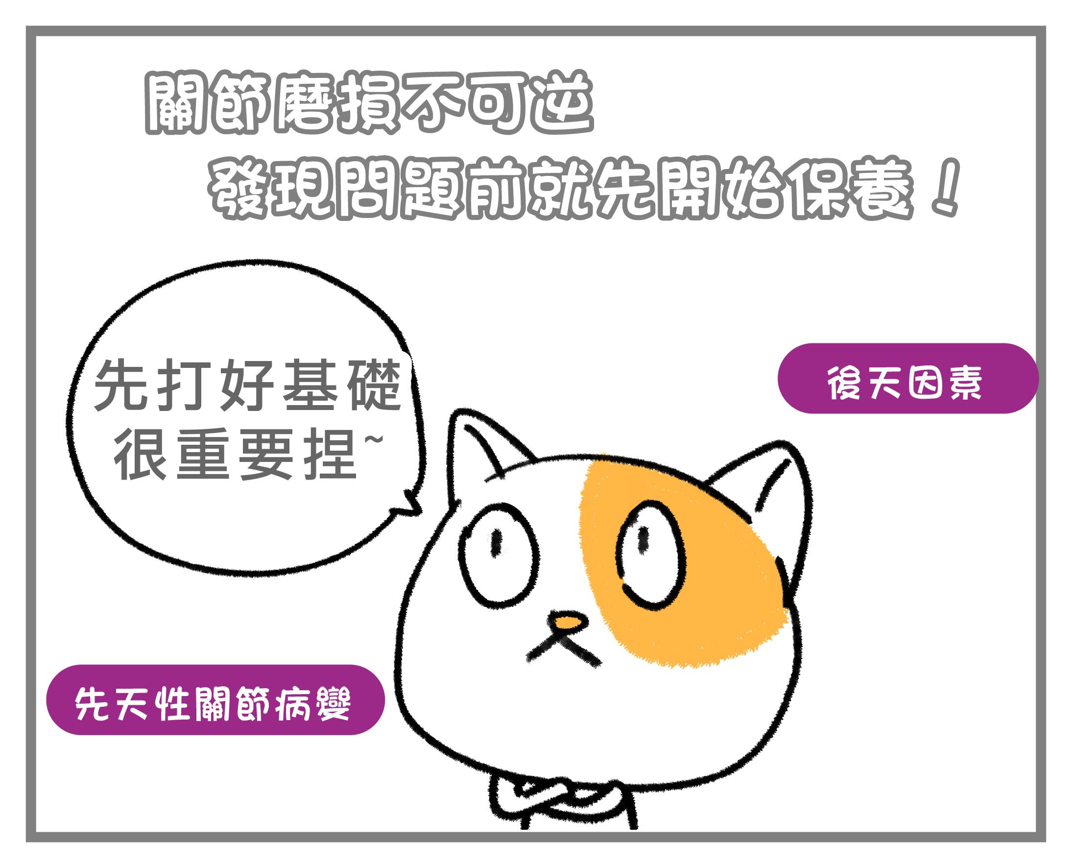 #皮特灣灣 #petsportw #喵汪肌關強 #關節保健 #寵物關節炎 #專利葡萄糖胺 #專利蛋殼膜 #EM300 #BCAA #支鏈胺基酸 #關節靈活 #綠唇貽貝 #合格寵物食品 #滑膜液 #保護軟骨 #強化肌肉 #犬貓適用 #專為毛孩