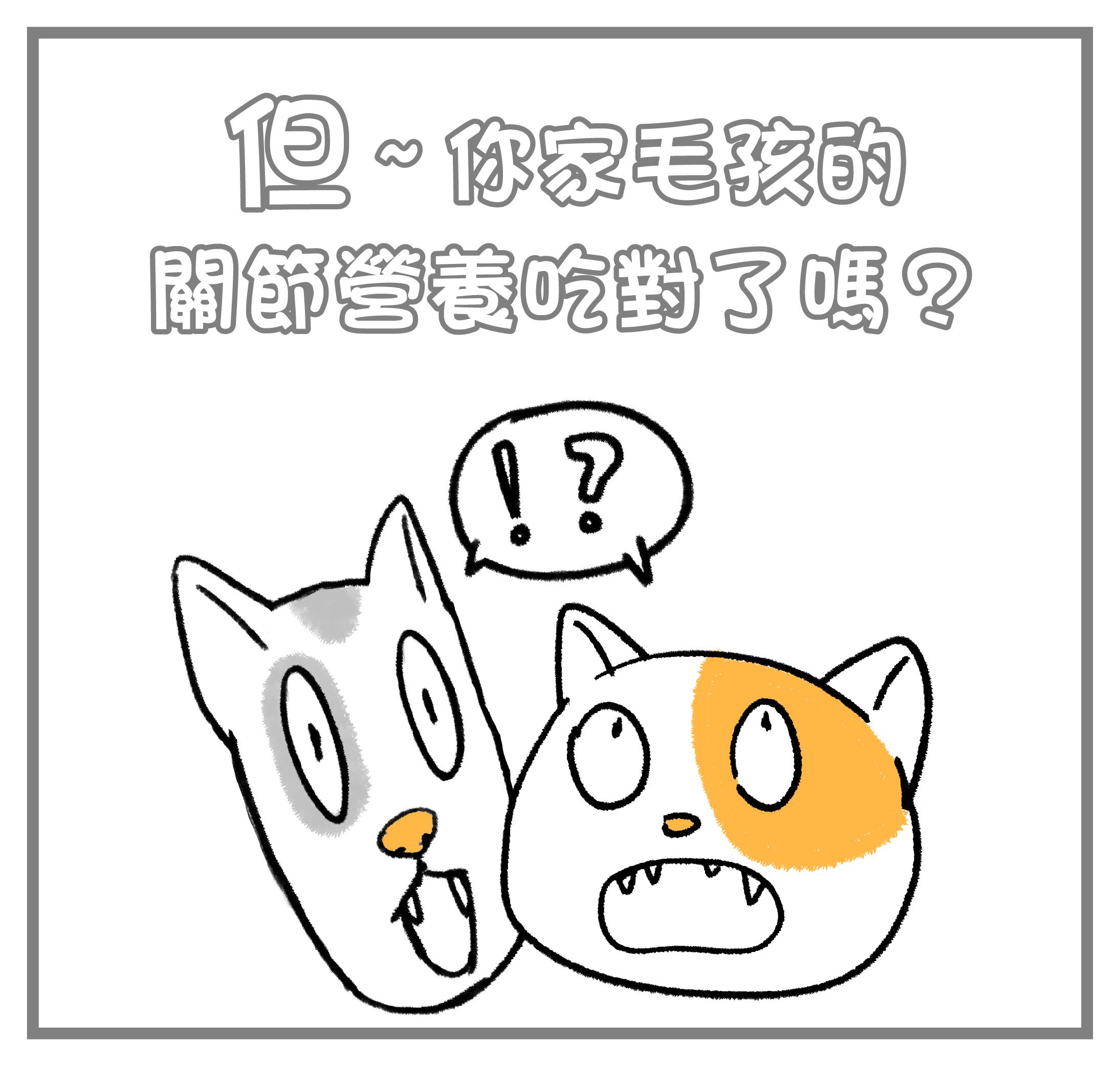 #皮特灣灣 #petsportw #喵汪肌關強 #關節保健 #寵物關節炎 #專利葡萄糖胺 #專利蛋殼膜 #EM300 #BCAA #支鏈胺基酸 #關節靈活 #綠唇貽貝 #合格寵物食品 #滑膜液 #保護軟骨 #強化肌肉 #犬貓適用 #專為毛孩