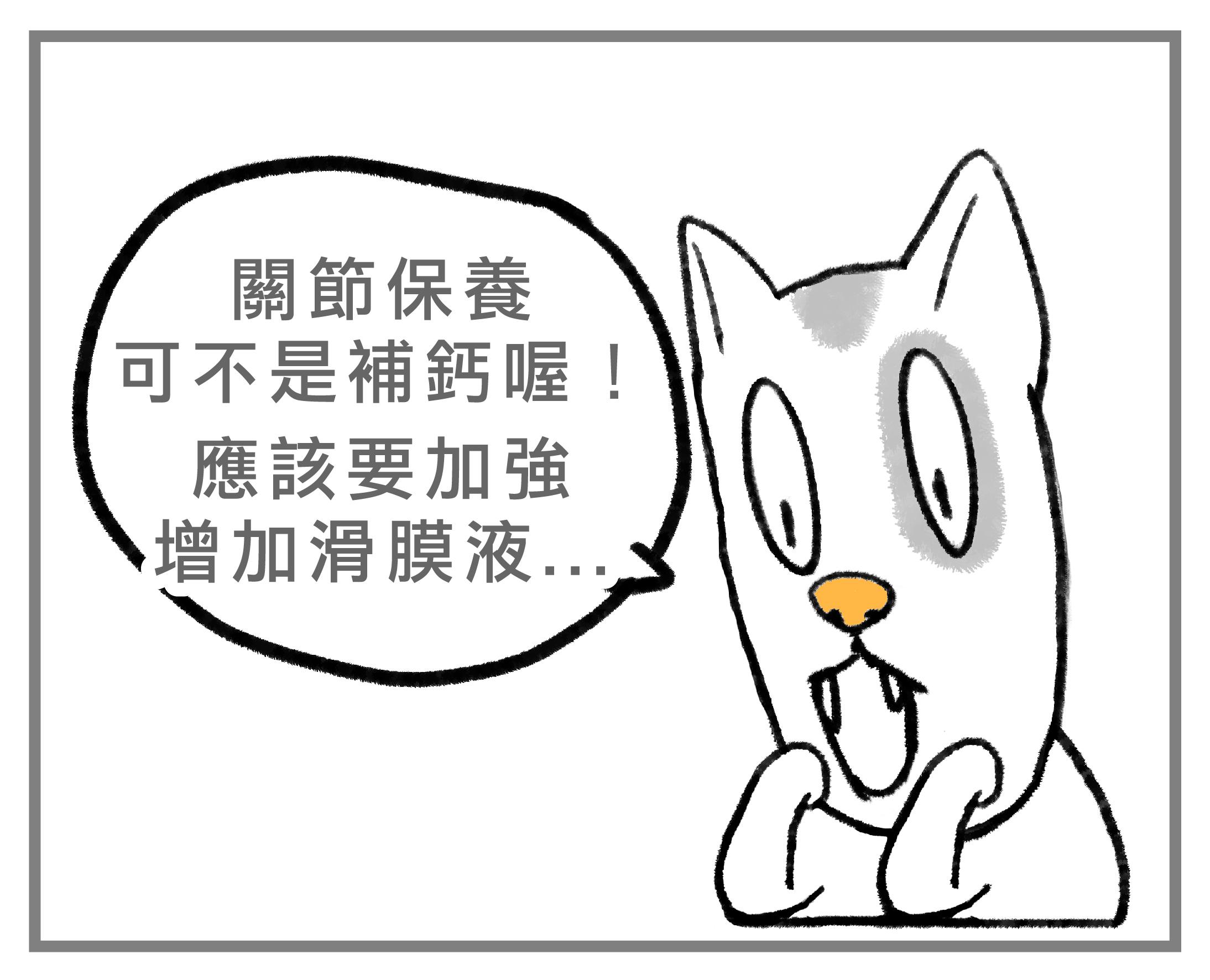 #皮特灣灣 #petsportw #喵汪肌關強 #關節保健 #寵物關節炎 #專利葡萄糖胺 #專利蛋殼膜 #EM300 #BCAA #支鏈胺基酸 #關節靈活 #綠唇貽貝 #合格寵物食品 #滑膜液 #保護軟骨 #強化肌肉 #犬貓適用 #專為毛孩
