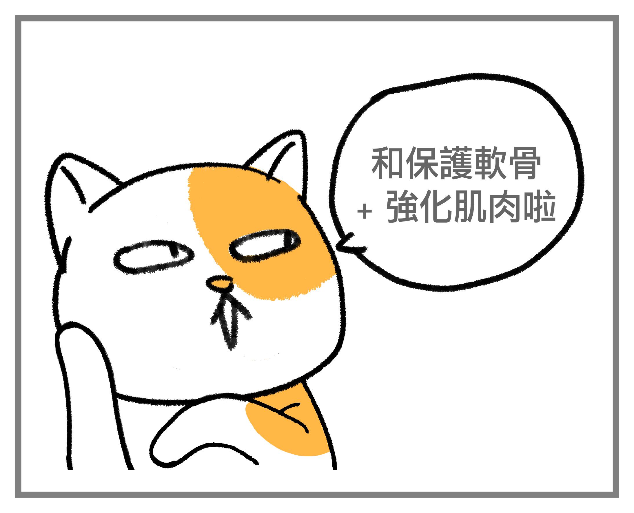 #皮特灣灣 #petsportw #喵汪肌關強 #關節保健 #寵物關節炎 #專利葡萄糖胺 #專利蛋殼膜 #EM300 #BCAA #支鏈胺基酸 #關節靈活 #綠唇貽貝 #合格寵物食品 #滑膜液 #保護軟骨 #強化肌肉 #犬貓適用 #專為毛孩