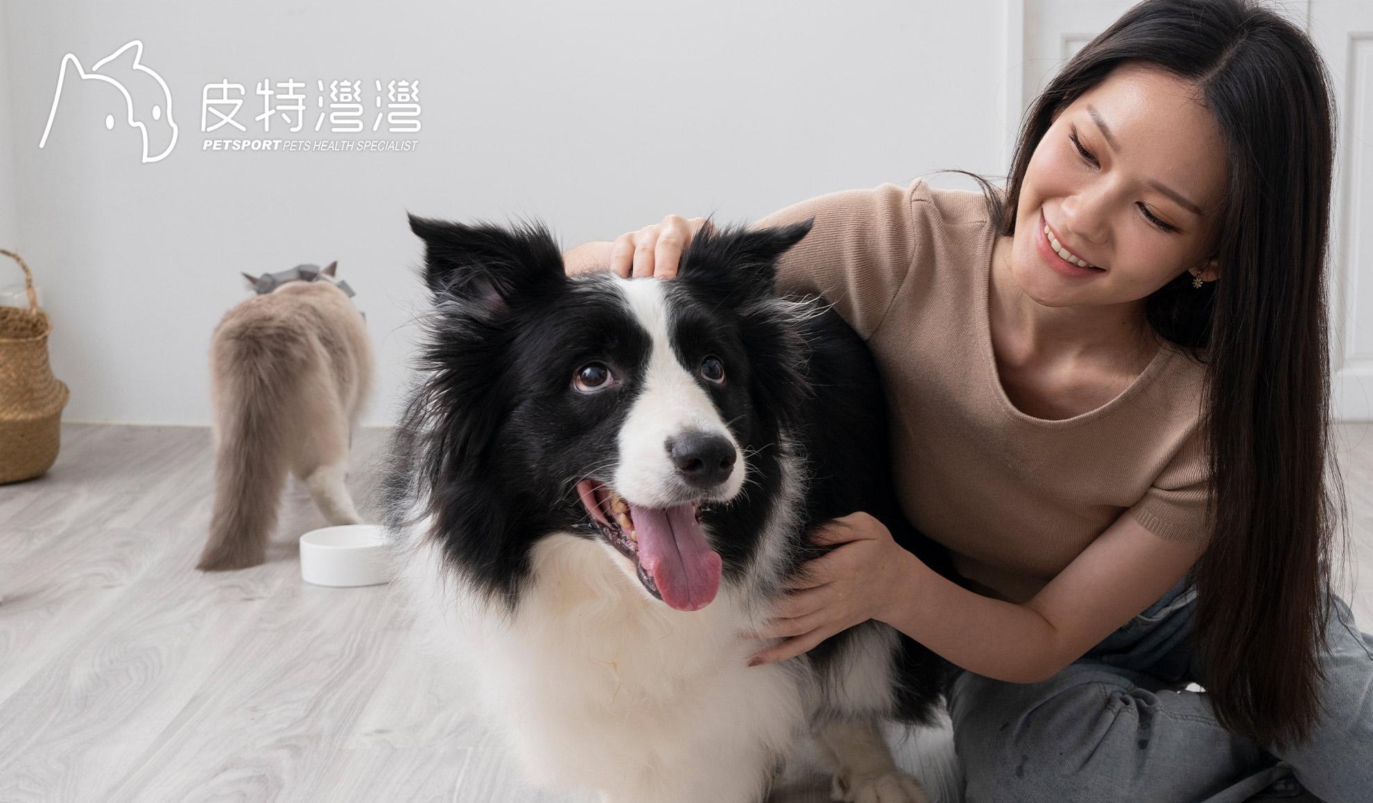 #皮特灣灣 #petsportw #喵汪肌關強 #關節保健 #寵物關節炎 #專利葡萄糖胺 #專利蛋殼膜 #EM300 #BCAA #支鏈胺基酸 #關節靈活 #綠唇貽貝 #合格寵物食品 #滑膜液 #保護軟骨 #強化肌肉 #犬貓適用 #專為毛孩