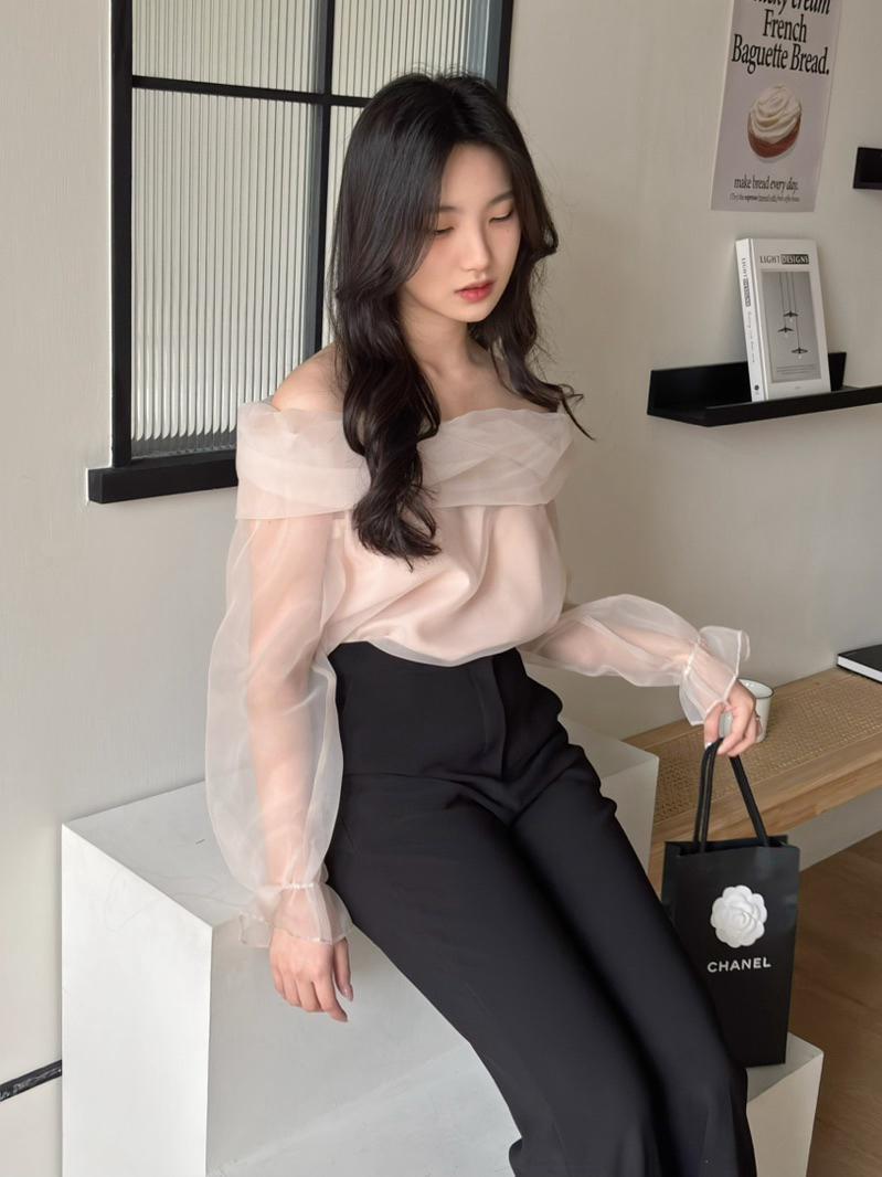 CLMA♡｜🇰🇷Korea 千金風透膚網紗一字領上衣