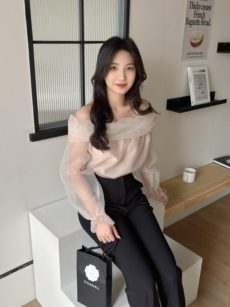 CLMA♡｜🇰🇷Korea 千金風透膚網紗一字領上衣