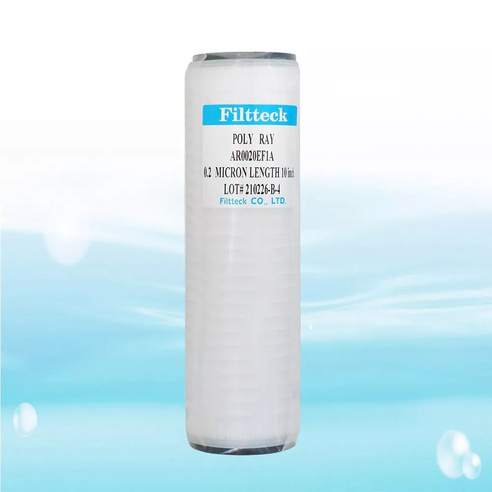 Filtteck/0.2微米/絕對濾心/10英吋【水易購淨水 新竹店】