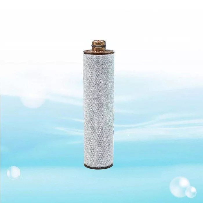 【水易購淨水-新竹+竹北店】ADD碳纖沐浴器專用濾心/單支