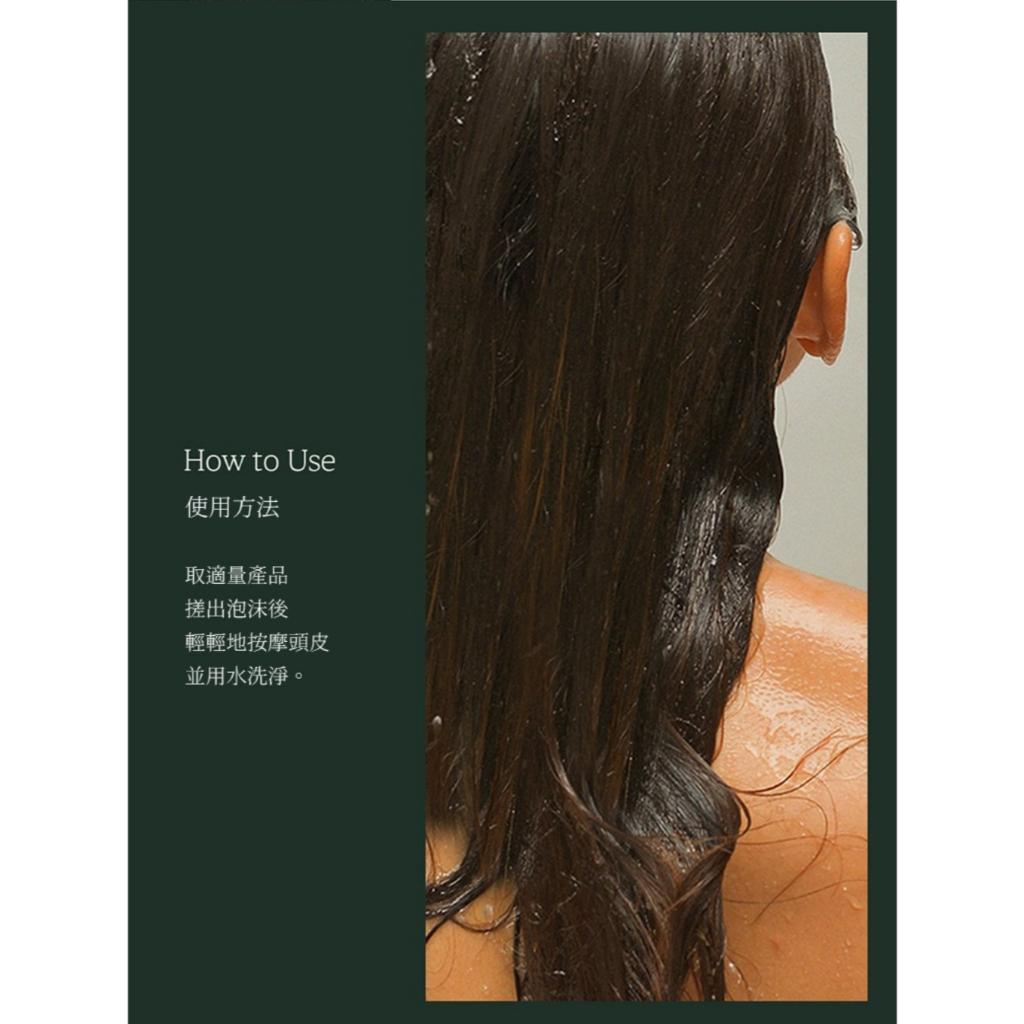 韓國 Nard 經典草本修護洗髮精 1000ml