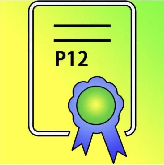 蘋果P12個人證書(24H自動發卡生成證書)