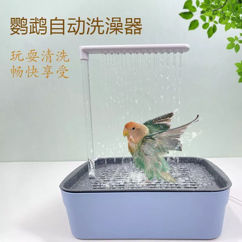🎯 鸚鵡自動洗澡器