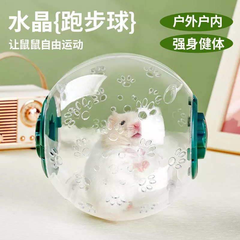 ✨ 倉鼠滾滾運動球 ✨
