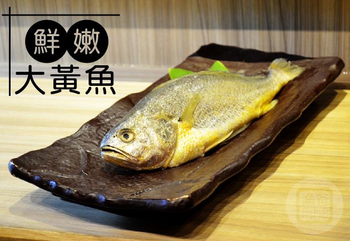 鮮嫩大黃魚400-500g/尾