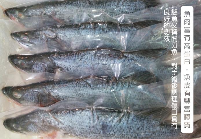 金目鱸魚600-700g-±10%/尾 