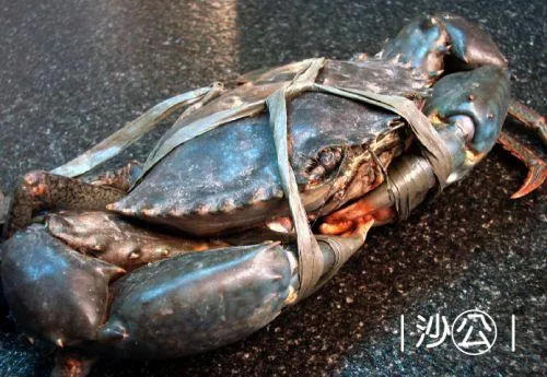 菲律賓A級沙公(500-600g)