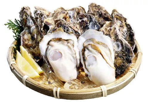 日本兵庫縣生食及生蠔L、2L