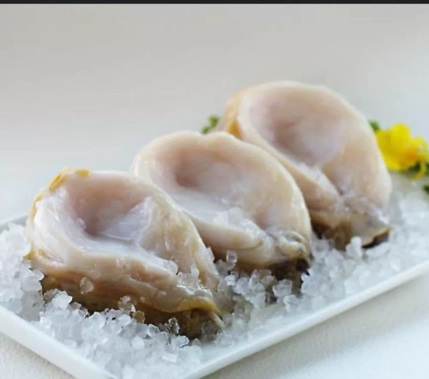 智利大鮑魚(250-350g)