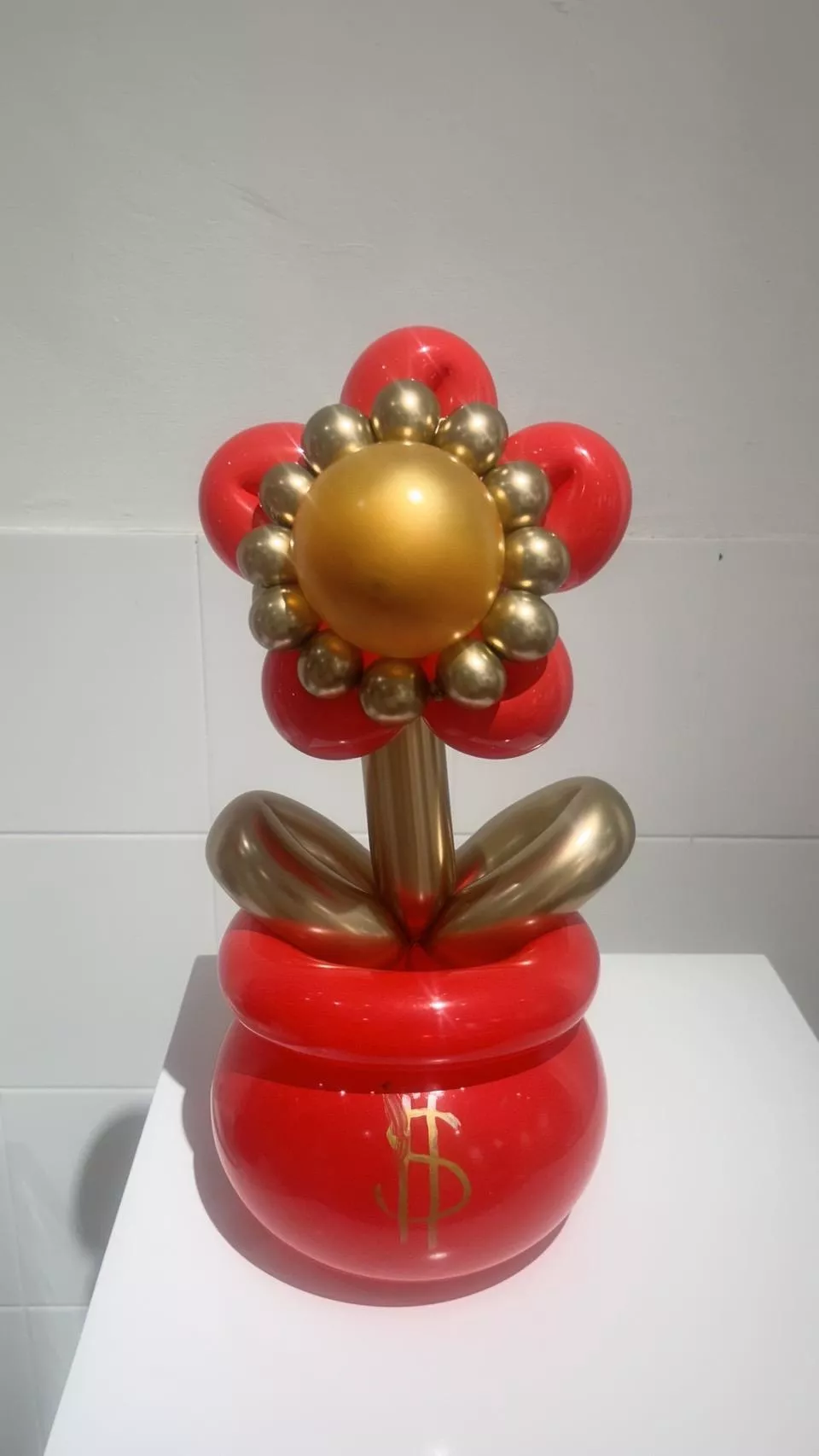 囍氣氣球編織花盆 -迷小型招財花